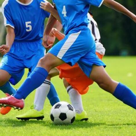 後十字靱帯損傷